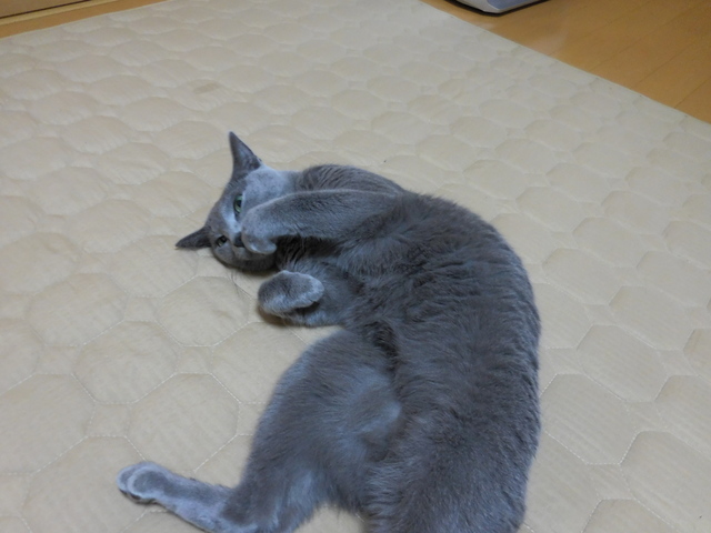 96③.JPG